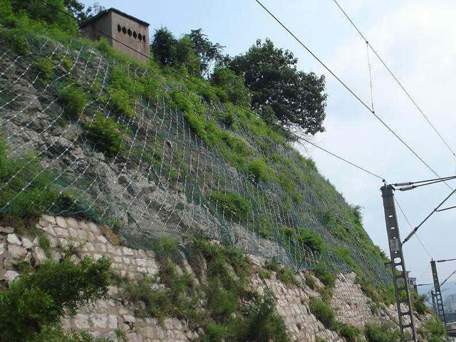 主動邊坡防護(hù)網(wǎng)