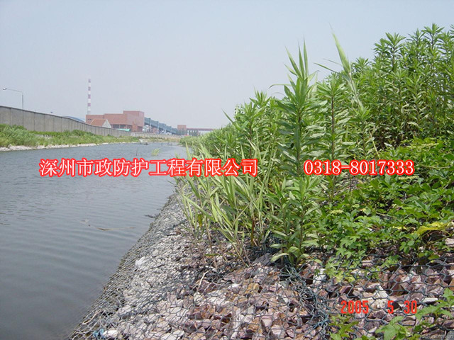 浙江五擰格賓網(wǎng)