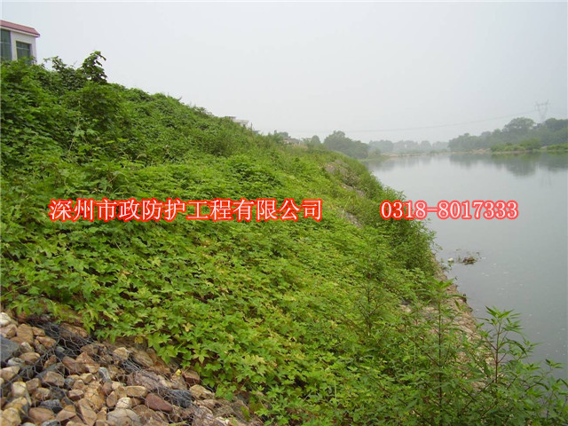 德宏河堤雷諾護墊