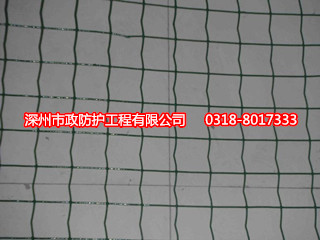 沈陽涂塑焊接網